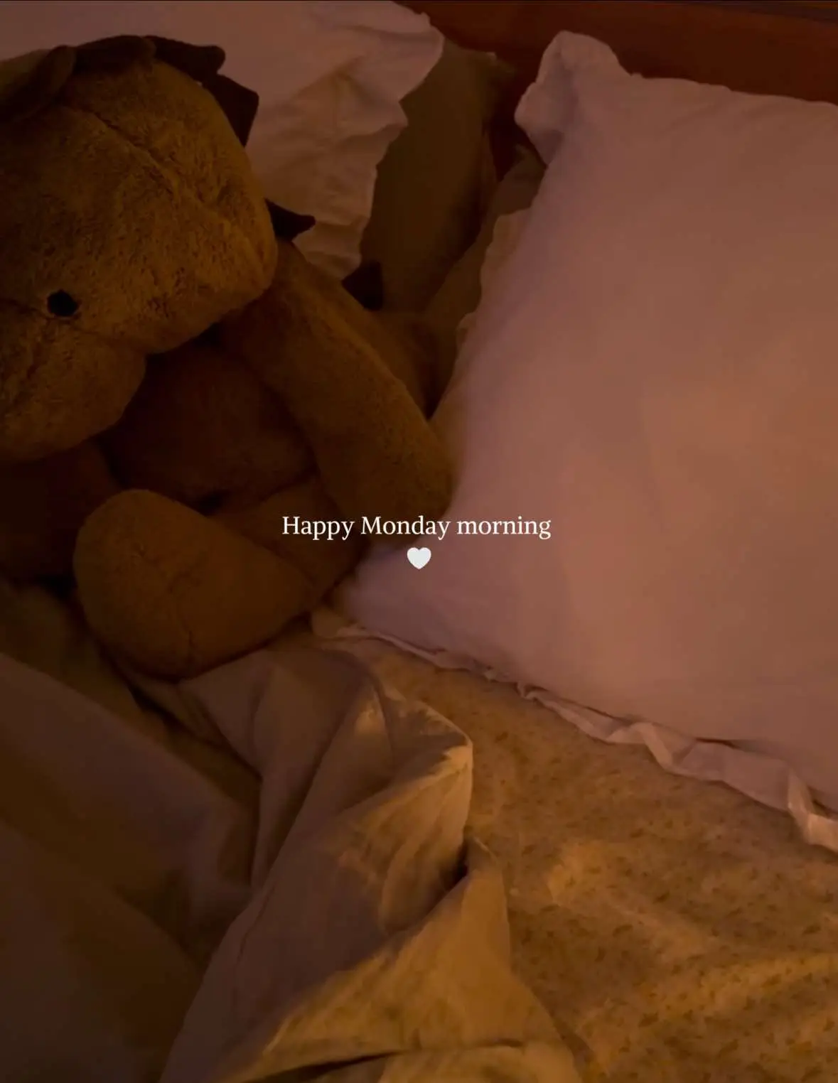 Woke up feeling heavy but practiced giving grace to myself. I allowed myself to a super slow morning while still doing things that make me feel better. I had breaky in bed one of the most magical treats, got a super yummy candle, checked things off my to-dos, walked, and hot yoga. You deserve love even on the bad days♥️ #dailyvlog #spendthemorningwithme #morningroutine #mondaymotivation #SelfCare #MentalHealth #creatorsearchinsights #traderjoes #hotyoga 