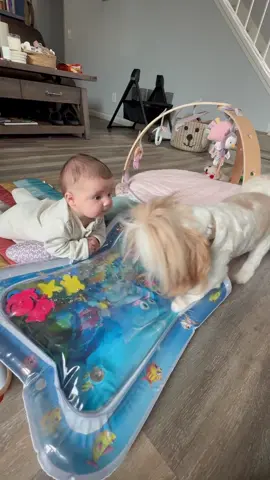 Baby Soleil and dog Willow playing together on a tummy time water mat. via Samantha Jaramillo
