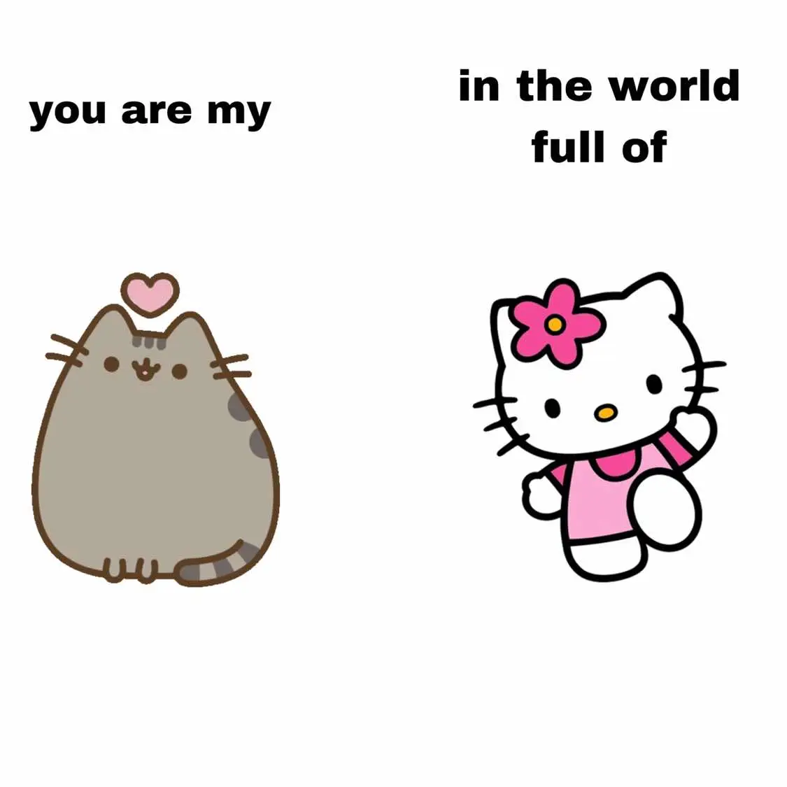 i love pusheen sm 🩷 | #dc #fyp #pusheen #pip #stormy #hellokitty #fypp 