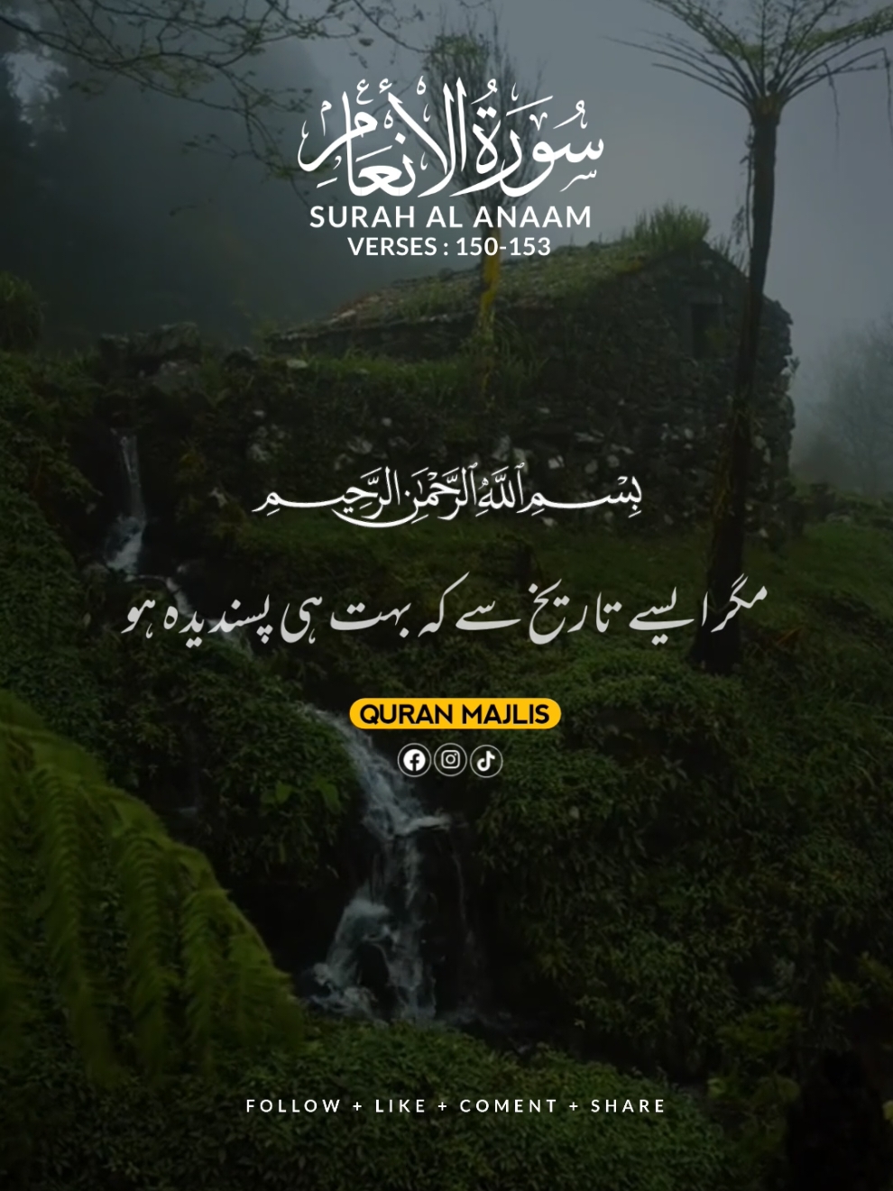 SURAH AL ANAAM 🌺 VERSES (150-153)#islam #qurantranslationurdu #alquran #trending #fyp #unfrezzmyaccount 