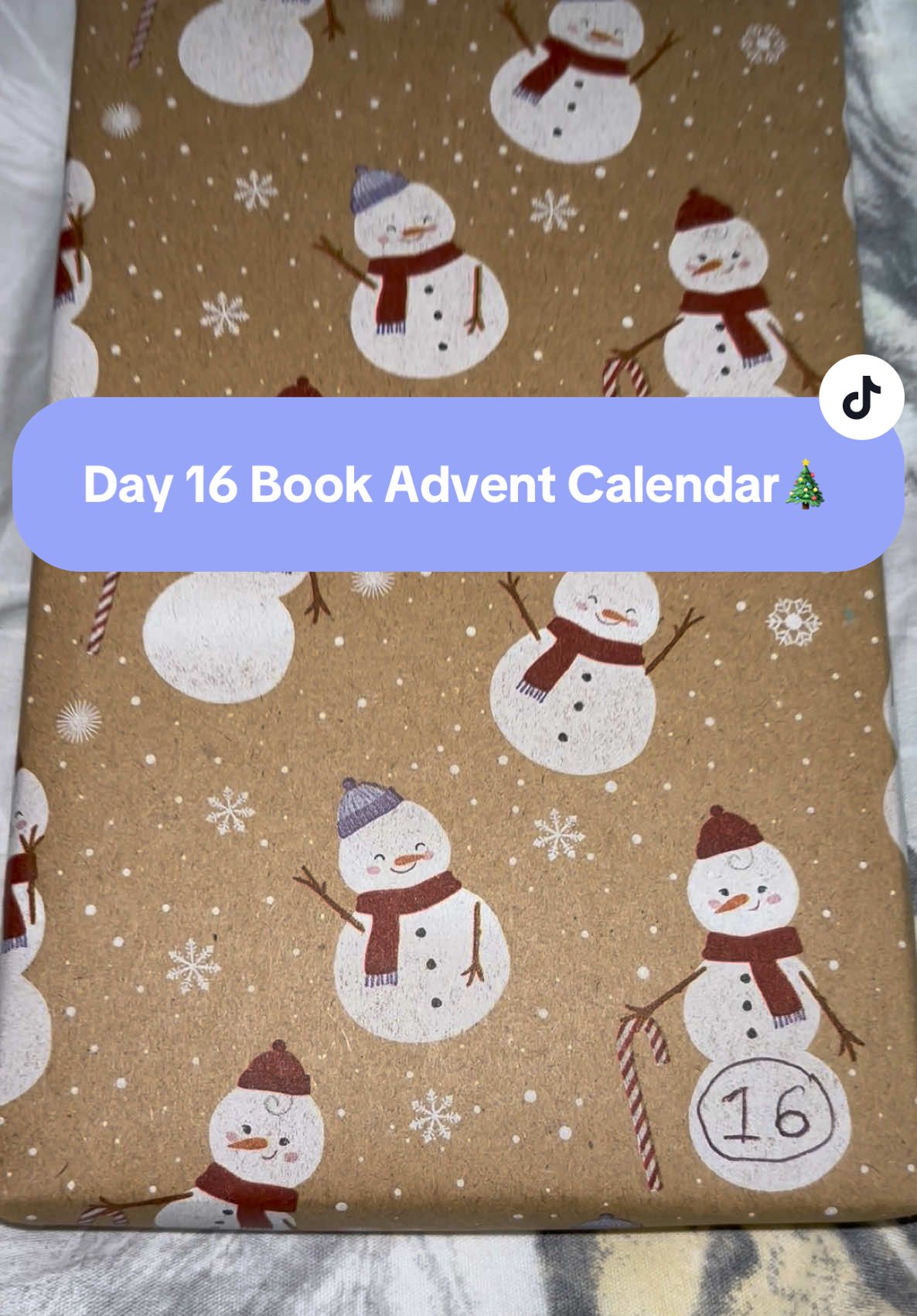 Day 16 Book Advent Calendar 🎄💕🥳🎅 the never after series has been on my tbr for the longest time!! #neverafterseries #christmasbooks #christmascountdown #BookTok #booksoftiktok #newbookrecs #christmasadventcalendar #bookadventcalendar #newbook #bookish #supportbooktok #fyp #day16  #bookadvent #nearlychristmas 