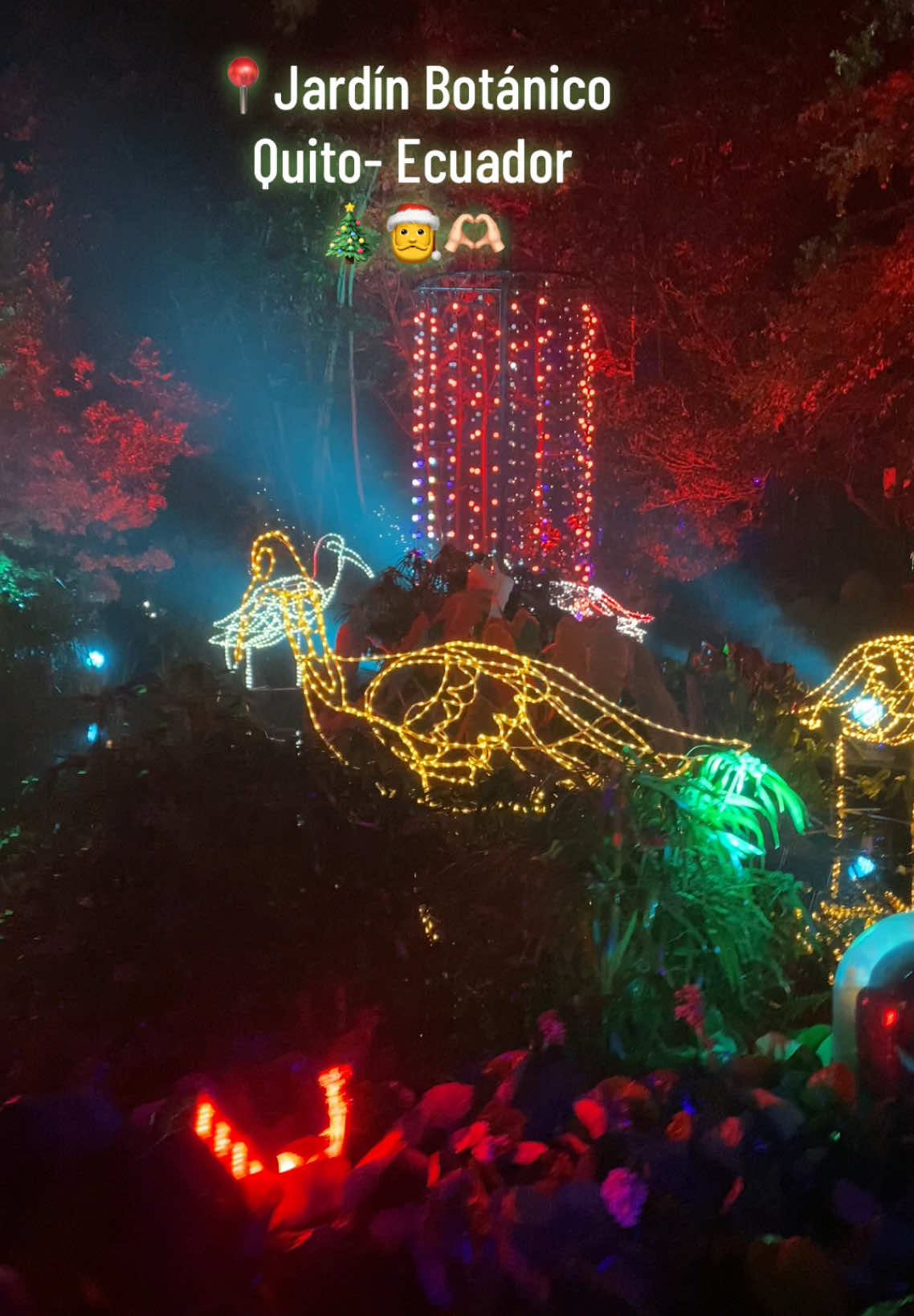 Llego la mejor epoca del año y con ella el encendido árbol vivo de navidad mas grande de America #jardinbotanico #turismo #bosque #navida #luces #viral_video #paratiiii #fyp #mary