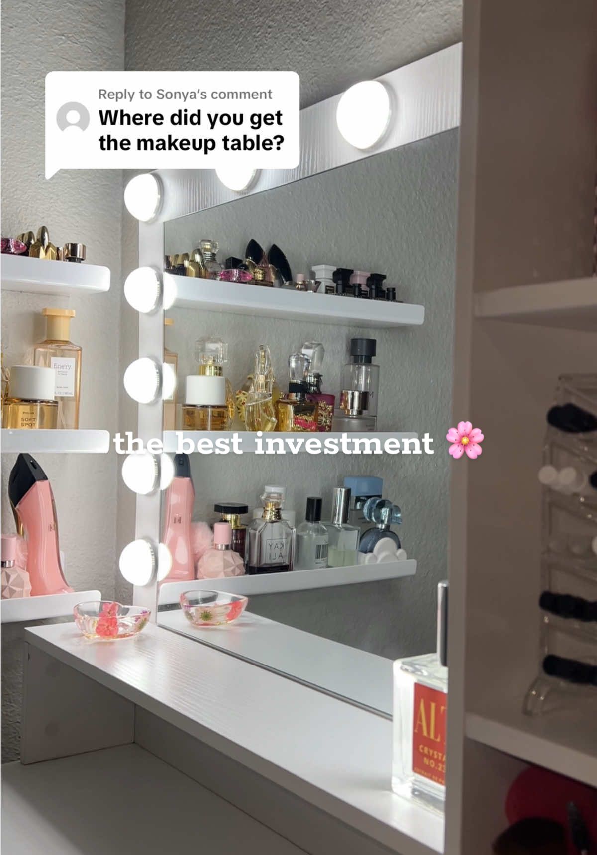 Replying to @Sonya the best investment 😍#makeupdesk #makeupvanity #vanity #vanitywitights #vanitywithshelves #viral #TikTokShop 