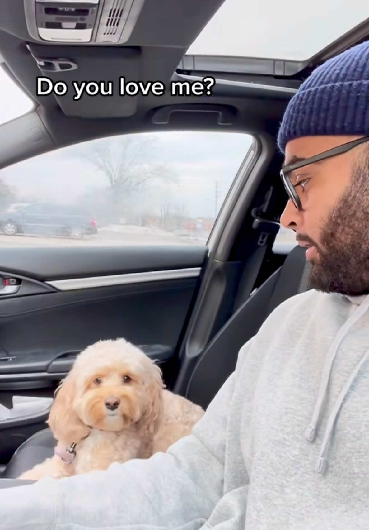 The head nod at the end 🥺 #dogs #Love #puppylove #doglover #dogsoftiktok #smartdog 