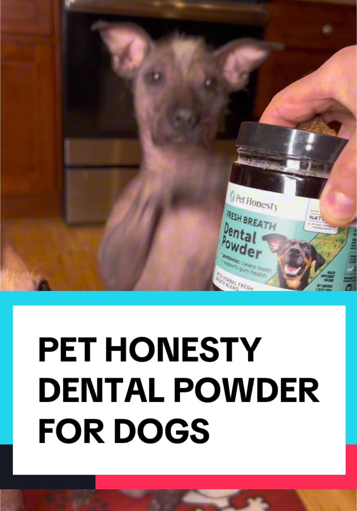 Say goodbye to doggie breath!  Pet Honesty's Fresh Breath Dental Powder is nutritionist approved to target dental health concerns & unpleasant mouth odor for your pet! #pethonesty #dogsteeth #badbreath #dogbadbreath 