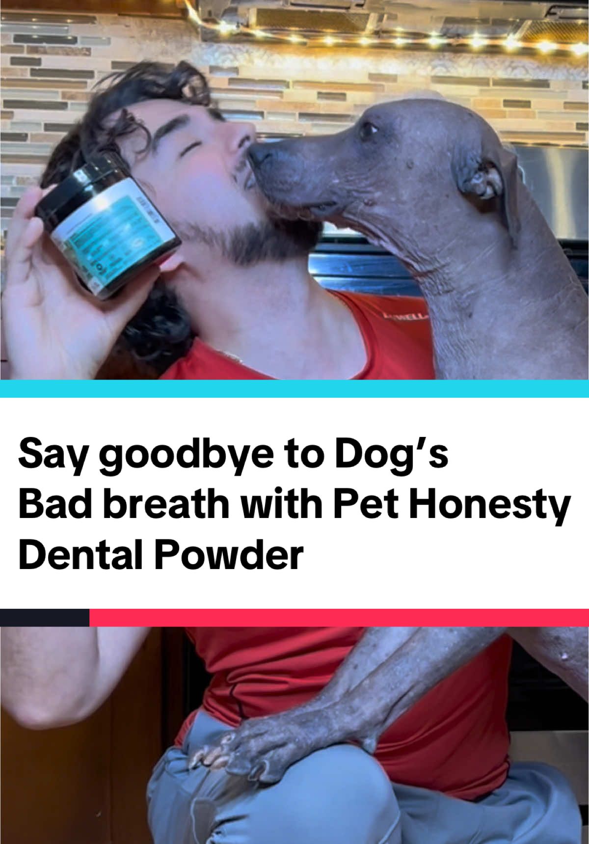 Say goodbye to doggie breath!  Pet Honesty's Fresh Breath Dental Powder is nutritionist approved to target dental health concerns & unpleasant mouth odor for your pet! @Pet Honesty #pethonesty #dogsteeth #badbreath #dogbadbreath 