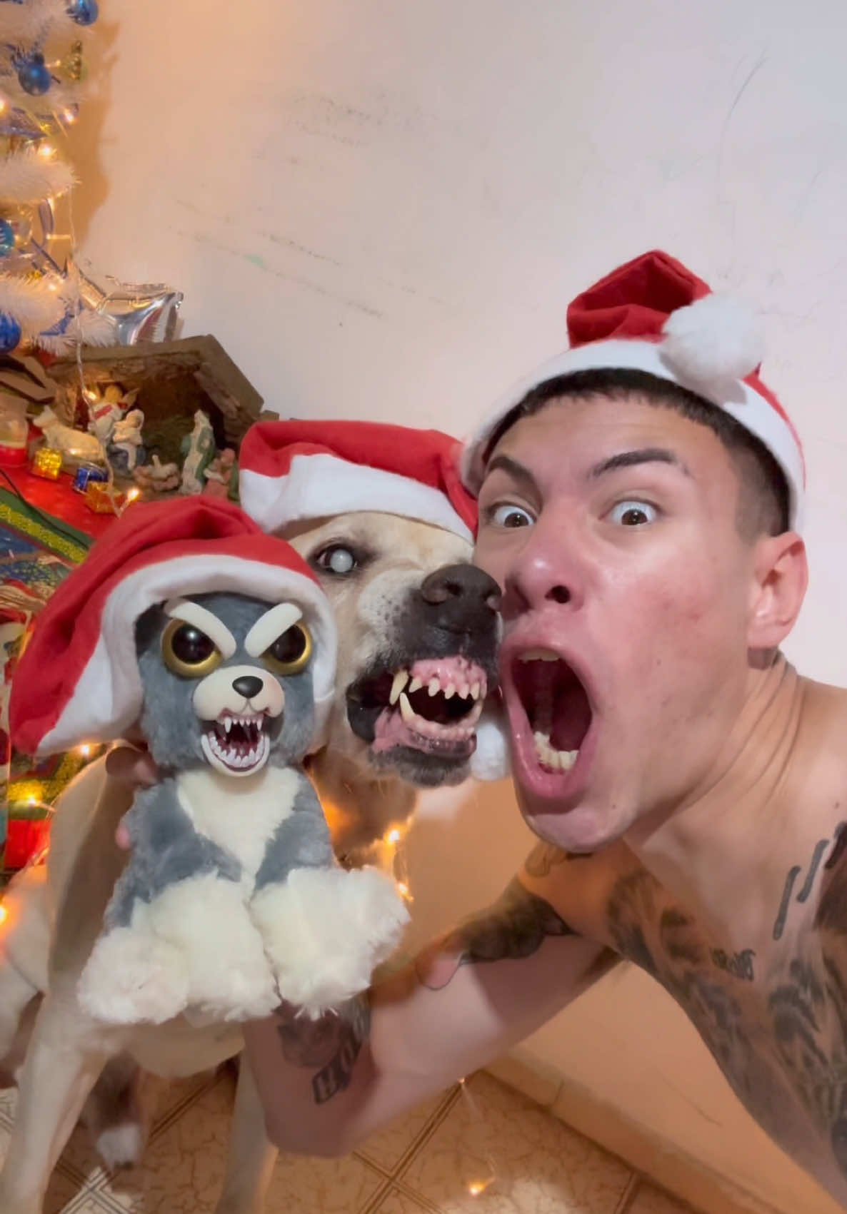 RABIOSOS 😈🐶 NAVIDEÑOS 🎄🎅🏼😂 • • • • • • • • • • • • • • • #argentina🇦🇷 #paratiiiiiiiiiiiiiiiiiiiiiiiiiiiiiii #navidadentiktok #navidad #christmas #viralditiktok #perrostiktokers #risastiktok #jajaja #paratitiktok #dogsoftiktok #toy #toys 