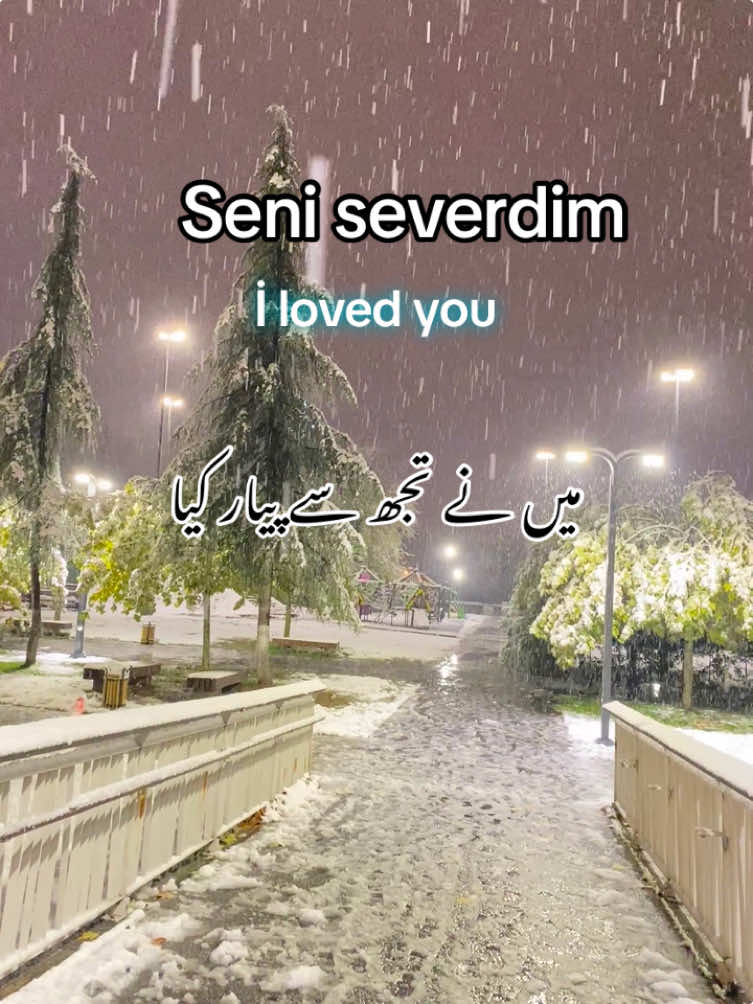 Turkish love song with urdu translation for learning purpose #turkishsong #turkishmusic #fyp #foryou #türkçe #follower #trend #viralvideos #viralsongs #langauge #turkishurdu #follow 