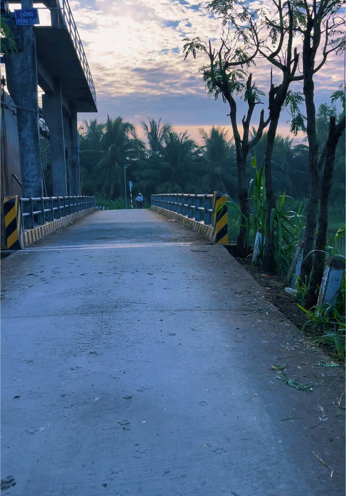 Đây là quê hương anh một dòng sông xanh nước chảy êm đềm #khabentre #nhachaymoingay #canhdep #bentre71🌴🥥 