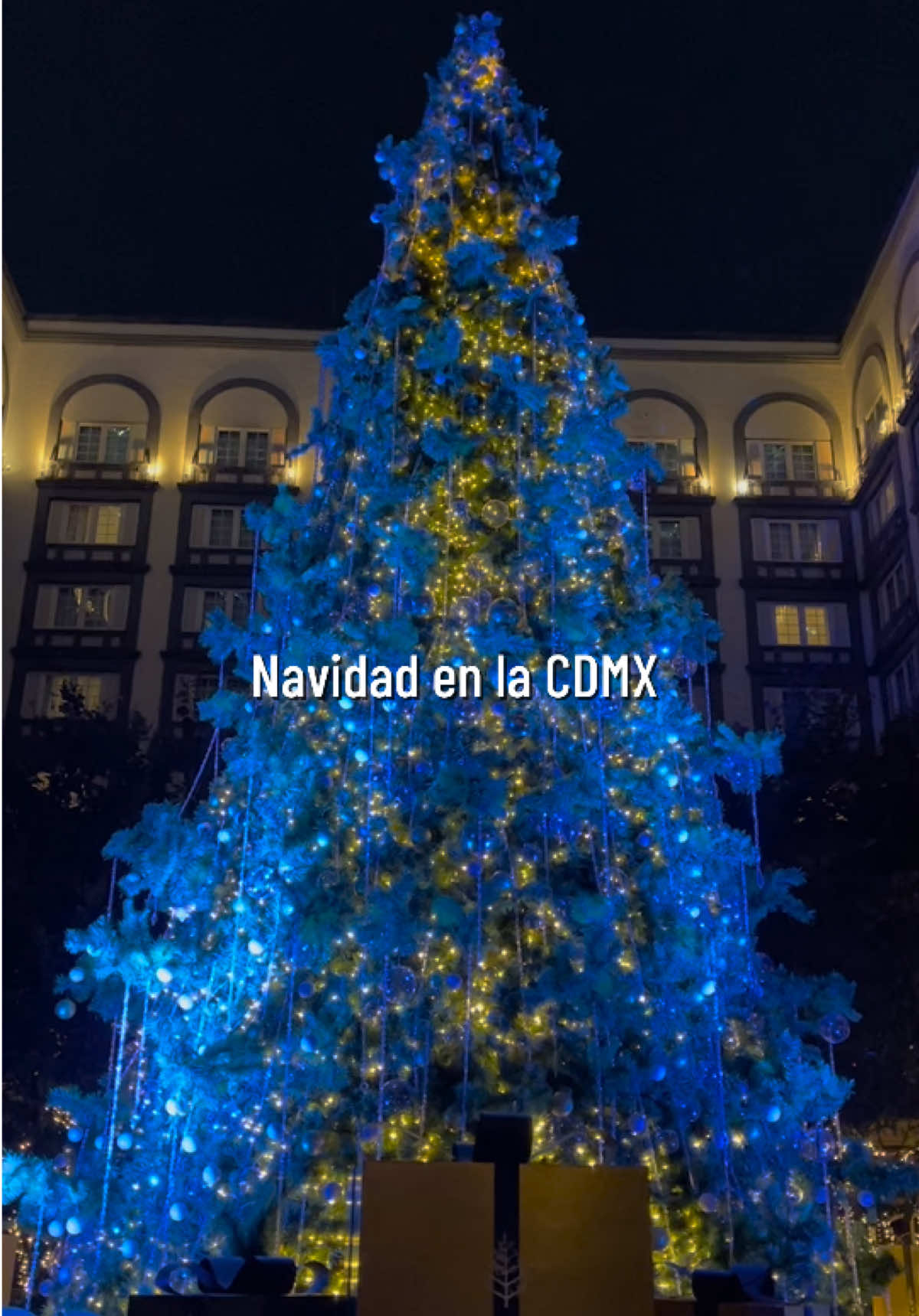 Amo la CDMX 🎄✨ #navidadentiktok #navidad #navidadcdmx #cdmxlife #cdmx_oficial #cdmx🇲🇽 