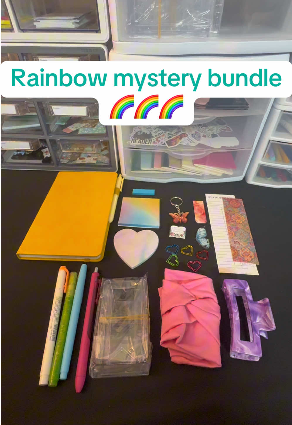 @Doodlemom68 Thank you so much for orderkng with me Lani! Rainbow bundles always come out so pretty! And your doggie in your profile pic looks just like my Rowan (cockapoo). I hope you love everything and have a wonderful christmas 🩷 #booktokgirlies #booktokgirlies #bookish #readersoftiktok #booktokfyp #SmallBusiness #booktokcommunity #orderpacking #mysterybundle #asmr 