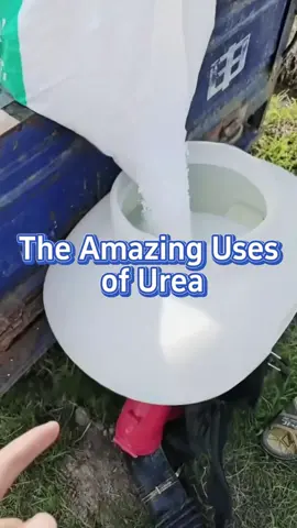 #plant #planting #garden #gardening #farm #farming #vegetables #urea #vegetablegarden #gardentips #tip #agriculture #fertilizer #snail #farminglife 