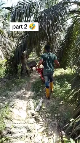 abis kita melawan sosor terus air kenal itu🤣😆😅#lucu_ngakak#😂😂😂#sawitlucu#sawit#tiktokviral#ngakakparah#komedi#komedikocak#vidilucu#hiburansemata#lawaktiktok#xybca#masukberandafyp#fypシ゚#fypシ゚viral🖤tiktok 