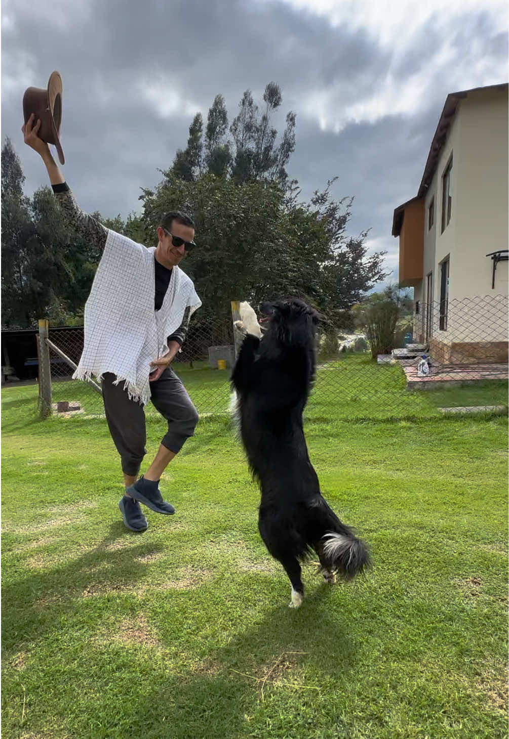 Saludos @HEREDERO bailando #coqueta 🎼 con mi cachorrita bailarina🤩🤩 . 🎯cachorros inteligentes y bien alimentados con @proplanco @entreexpertos  . . #carranga #baile #dogdancing #dog #jairopinillap 