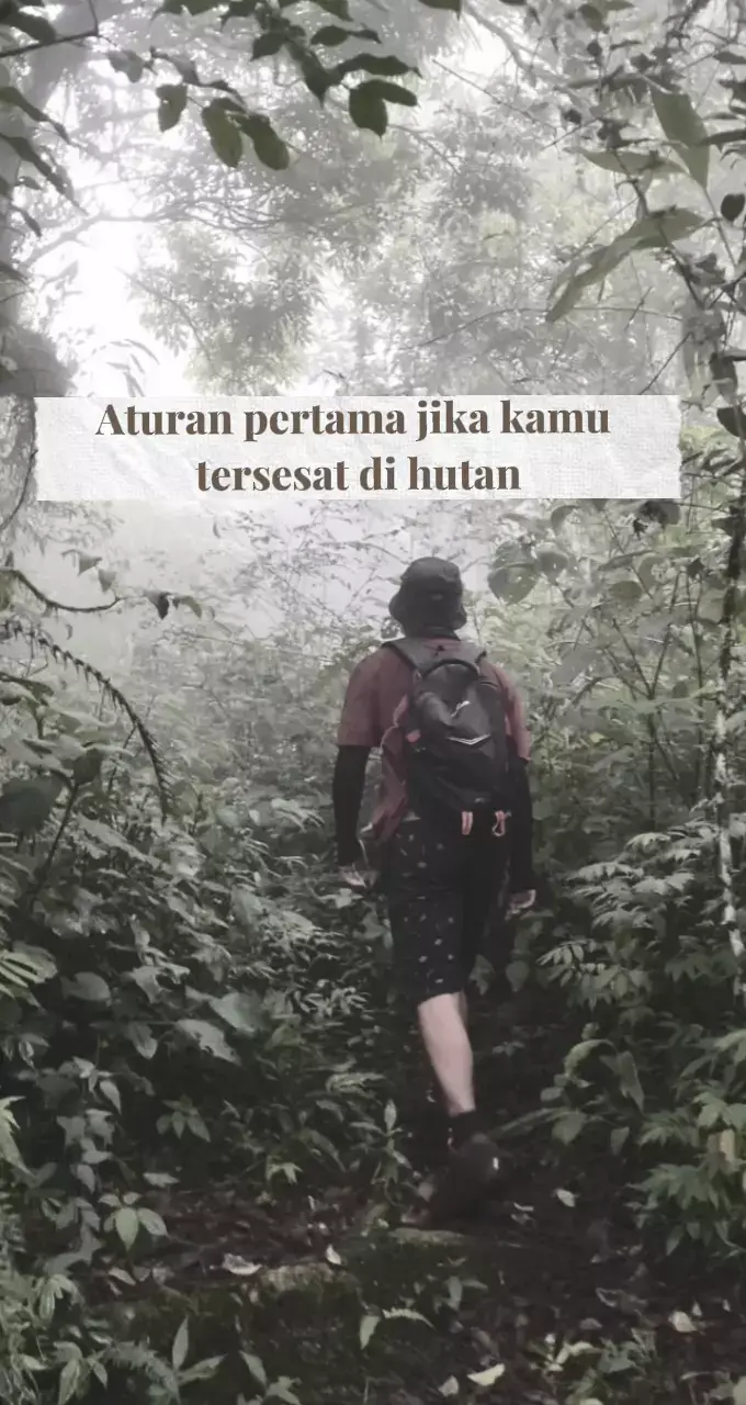 Bagaimana jika kamu tersesat di hutan ? tips ini berdasarkan teori pribadi serta menurut kearifan lokal ,pada intinya tetap berdoa dan mintalah keselamatan pada tuhan yang maha esa 🙏 #pendakihilang #pendakitersesat #hypotermia #gunungjawatenagah #hutankalimantan #hutanangker #gununglawu #gunungslamet #pendakianhoror #pendakian #harimaujawa #emergency #caution #fyp #fy #fypシ #fypage