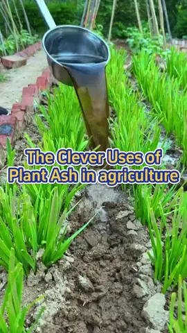 #garden #gardening #planting #agriculture #farming #urbanfarming #fertilizer #gardeninghacks #gardeningtips #vegetablegarden 