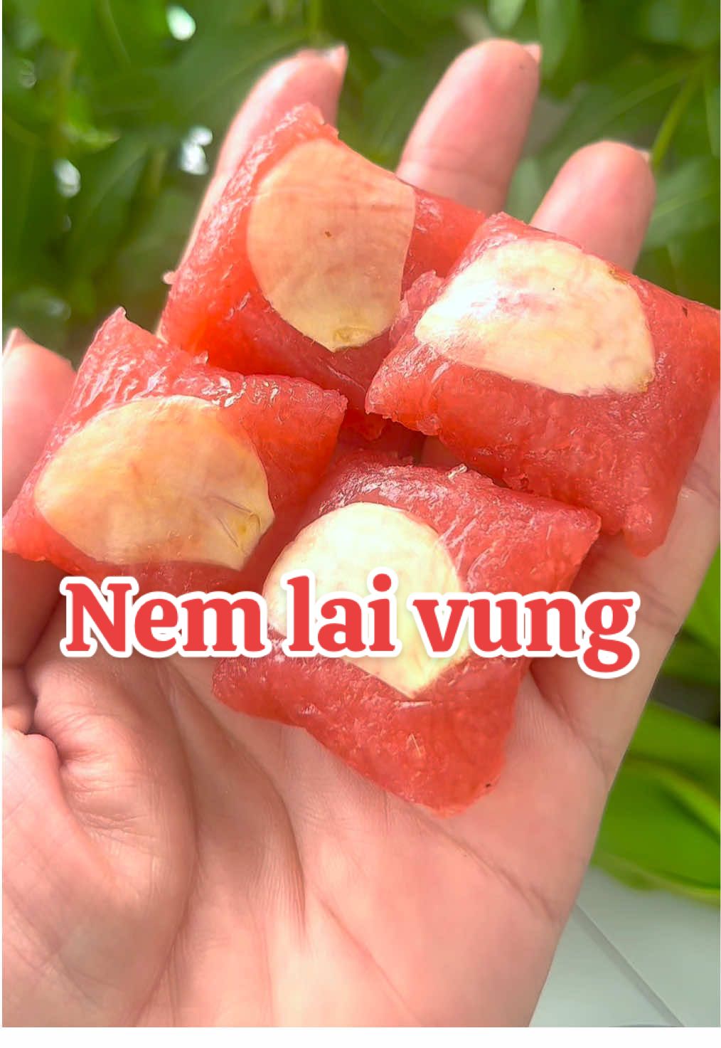 Nem kai vung đặc sản miền Tây. Ngon lắm nha cả nhà #bepbaduong #xuhuon #xuhuongtiktok2024 #xuhuongtiktok2024 #ancungtiktok #food #reviewfood #muckbang #viral #titotxuhuong #anvat #nem #nemlaivung #nemchua #nem chua ngon nhất được review 