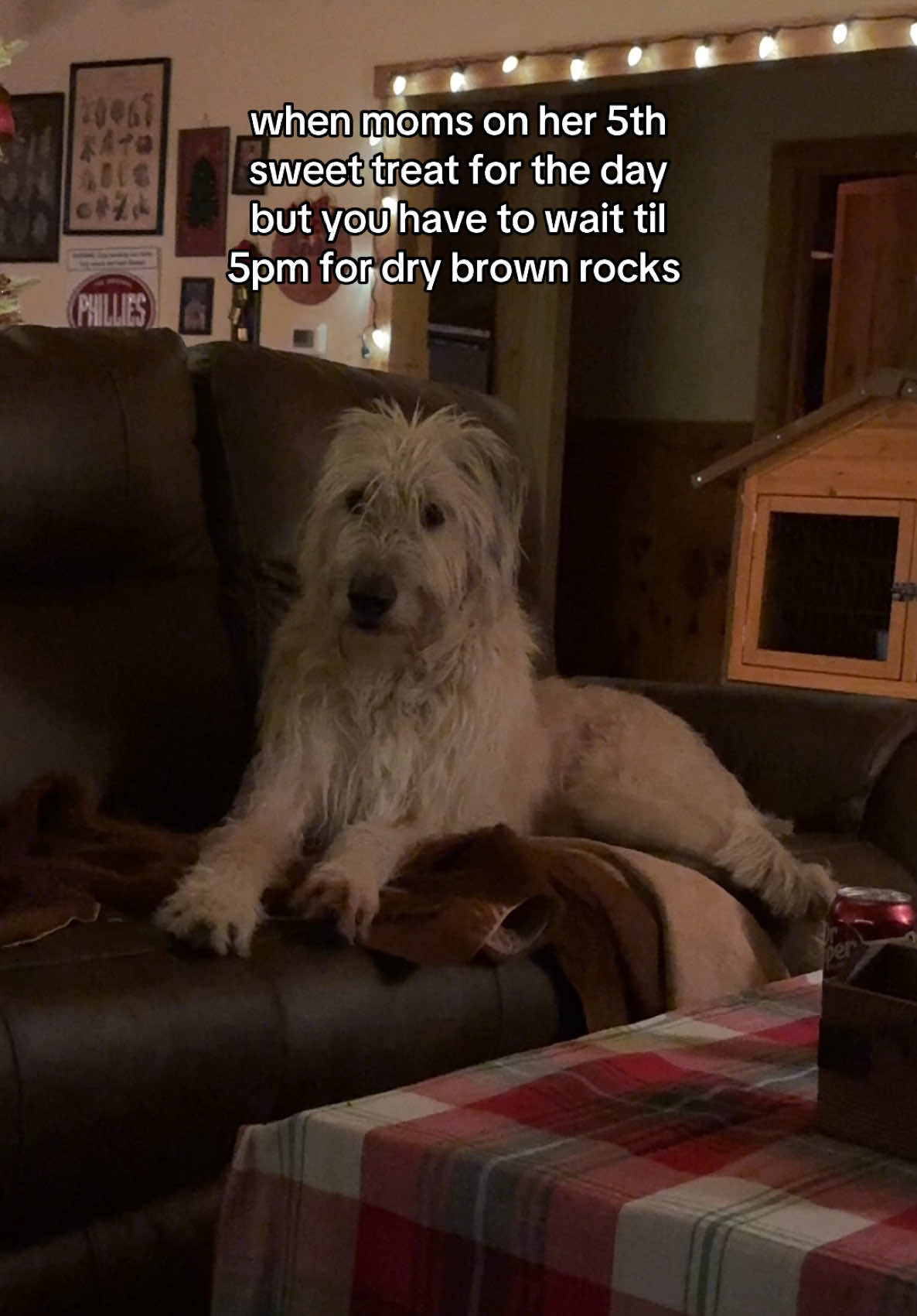 (he actually eats whenever & i always give him my leftovers if theyre not toxic, hes spoiled af lmao)  - - - #dogtok #irishwolfhoundsoftiktok #irishwolfhound #funnydog #fyp 