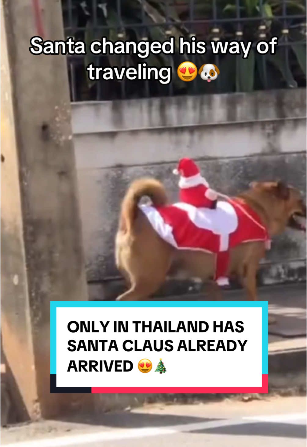 Only in Thailand has Santa Claus already arrived 😍🎄#sandrotaod #thailand🇹🇭 #bangkok #sandro #sncsandro #tiktoktravel #christmas #xmas