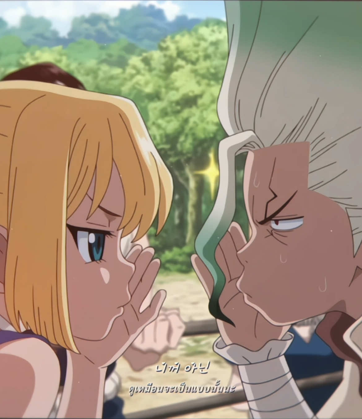 ( #senhaku ) อีกซักคลิปจะเป็นไรไป ᴖ ᴈ ᴖ            #ドクターストーン #dcst #drstone #senkuishigami #kohaku #senkoha #foryoupage #foryou #fyp 