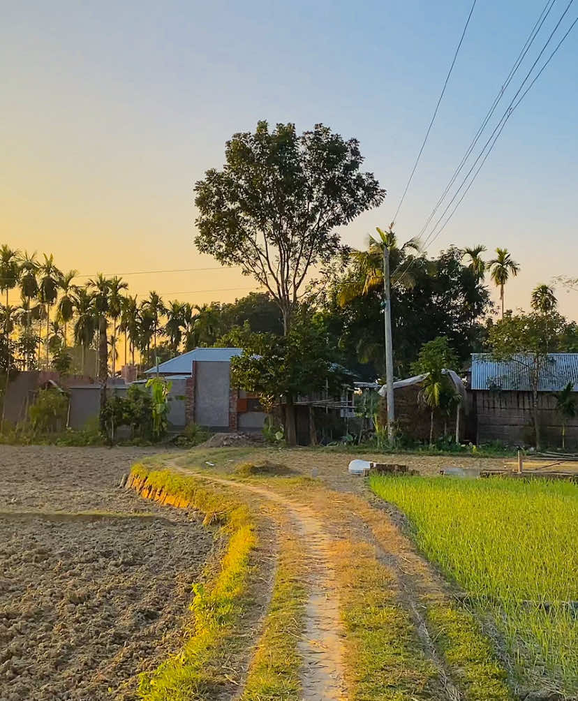 ᥫ᭡—যদি সৌন্দর্যকে আঁকড়ে ধরে রাখতে চাও তাহলে গ্রাম বাংলার প্রকৃতির কাছে ফিরে আসো──༅༎ 🍃🌿😌 #প্রকৃতি #sky #tree #fyp #fypシ #fypシ゚viralシ #unfrezzmyaccount #tiktok #shorts #song #weather #views #reels #nature #natural #scenery #foryou #trending #viral #viralvideo #sunset #village #NaYaN #NaYaN56 @TikTok @tiktok creators @TikTok Bangladesh 