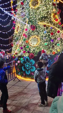 El árbol Navideño más hermoso ✨🌲  de Cusco Santiago felices fiestas Navideñas les desea la plaza de Santiago #MunicipalidaddeSantiago  #Plazadesantiago #arbolnavideño  #feliznavidad🎄  #cusco_peru🇵🇪 