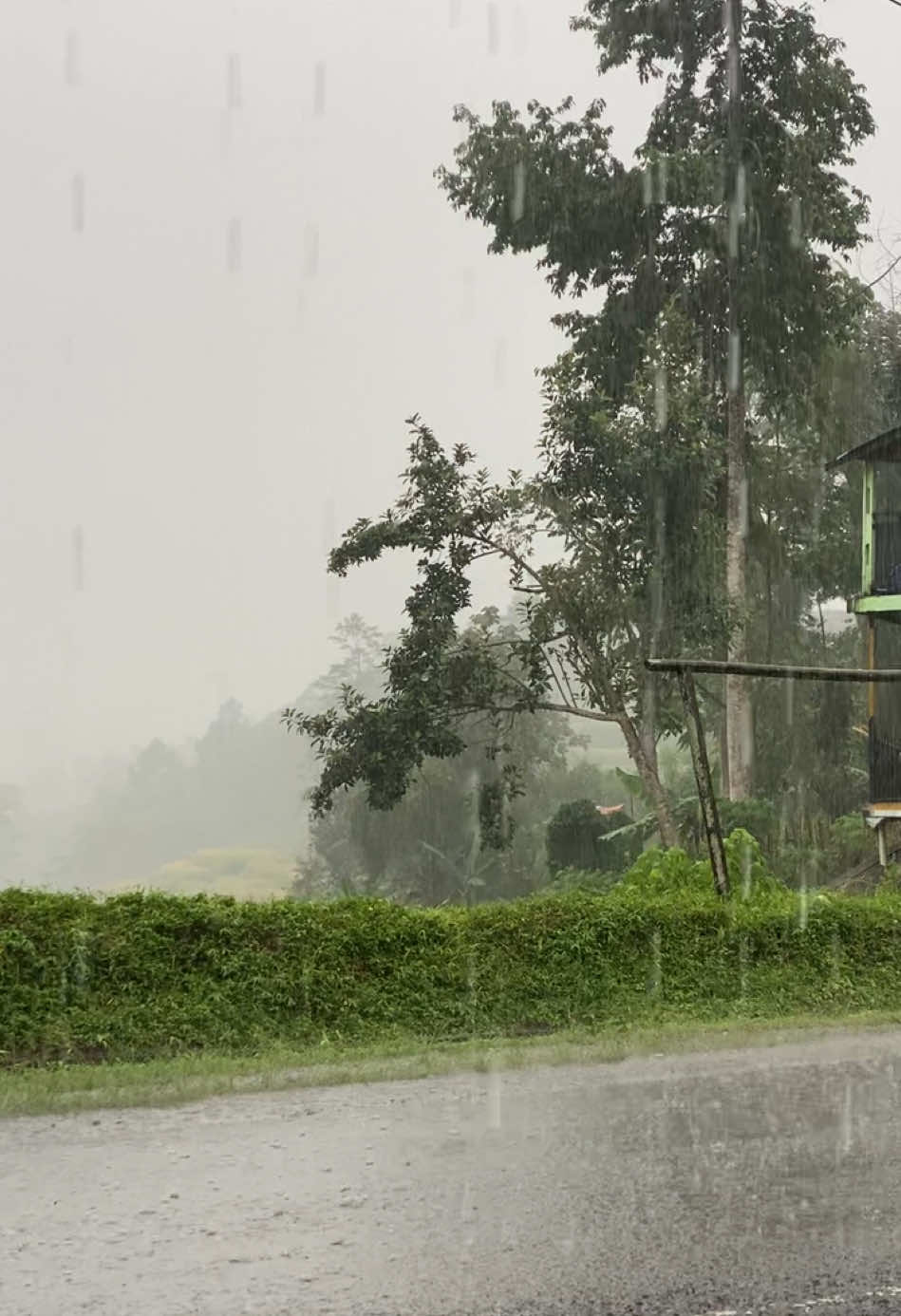 Selamat merindukan hal-hal yang tidak bisa di ulang.