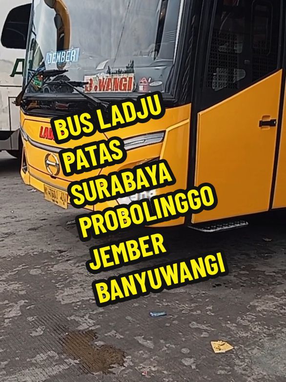 Selalu menemani kamu yang ada#fypシ゚ #fyp #fyyyyyyyypppppppppppp #busladju#srikandi#busjawatimuran #cctvbungurasih #videobungurasih #terminalbungurasihsurabaya #busmaniacommunity 