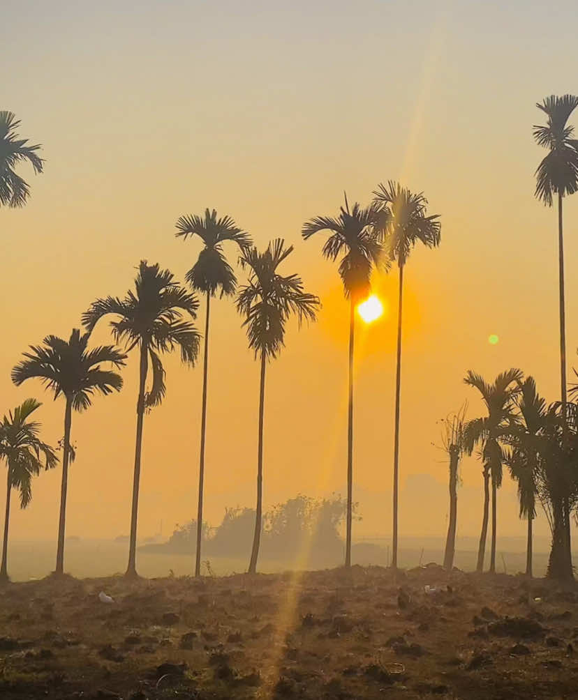 ᥫ᭡—কি খুঁজছো আপন মানুষ, আকাশের দিকে তাকাও 