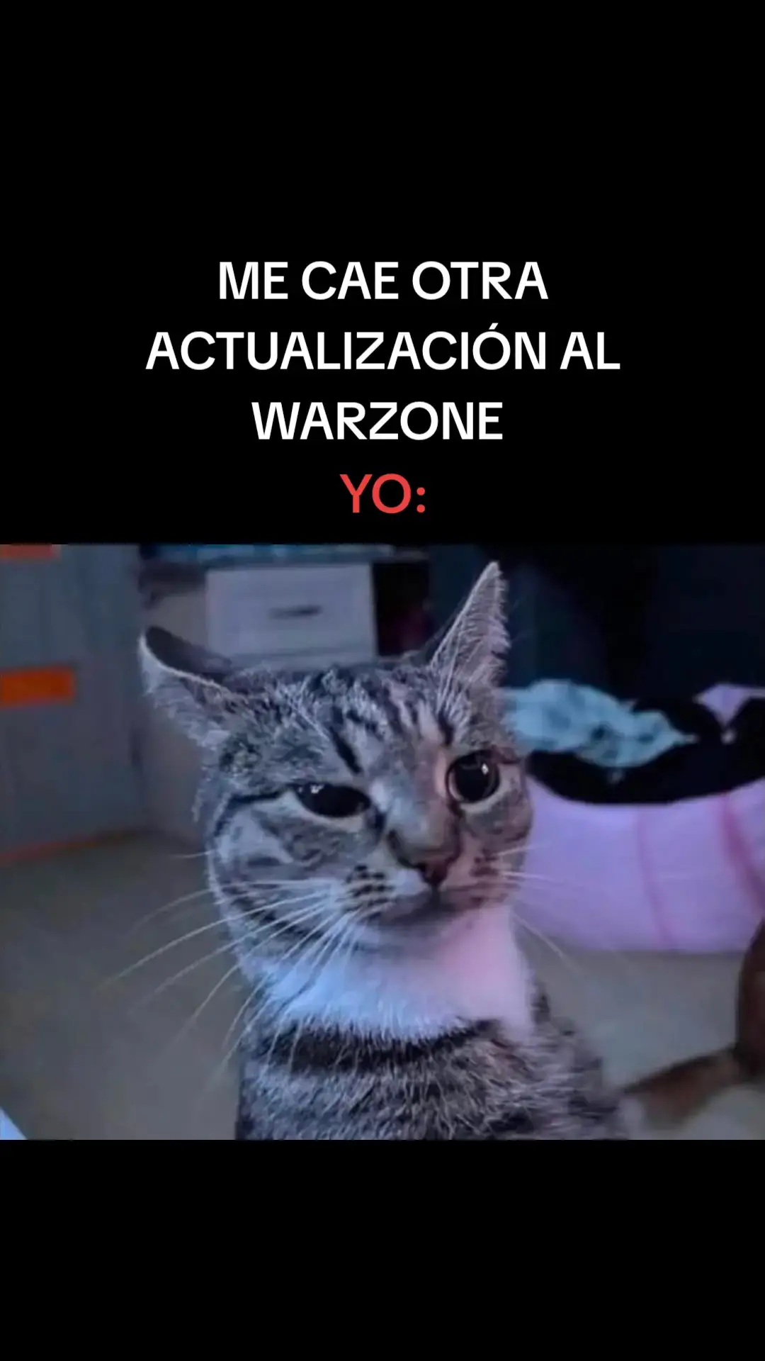 Sin problemas 💀  #warzoneclips #warzonemobile #Warzone #Warzone #warzone3 #Home #enojo #destruido #warzoneclips #videojuegos #todobientodobien #equipo #Warzone#callofduty#Warzone#blackops6#bo6#fy #Viral