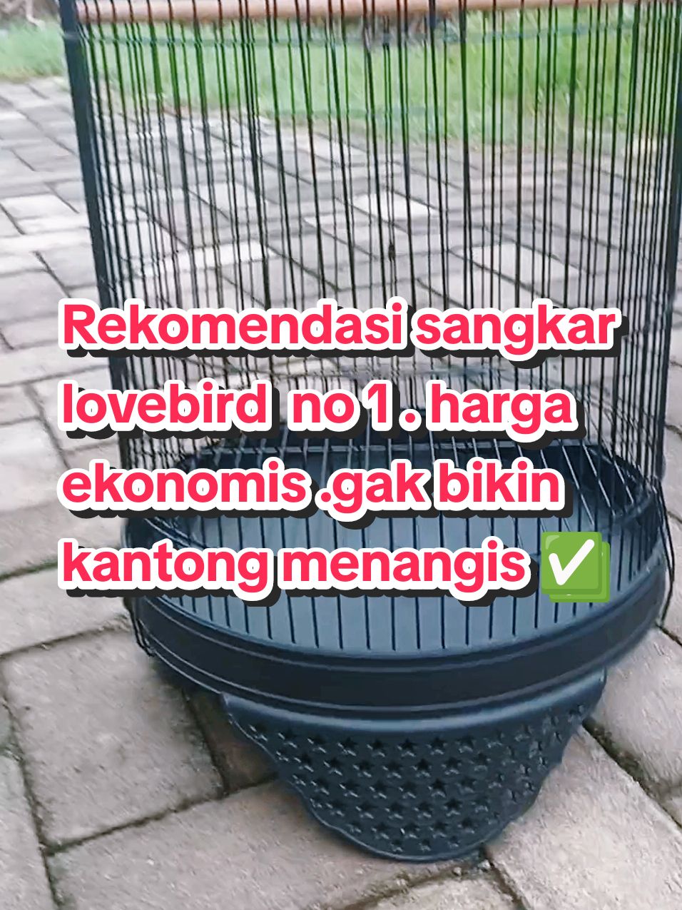 sangkar lovebird tebok bintang. kualitas besi impor , bukan kompor #sangkarlovebird #sangkarlovebirdmurah #tebokmotifbintang #sangkarlovebirdnomer1 #sangkarkapsul #sangkarbesi #sangkarburung #sangkar #kicauburung #kicaumania #wibgajian #cuantanpabatas #promoguncang11 #gilagilajualan