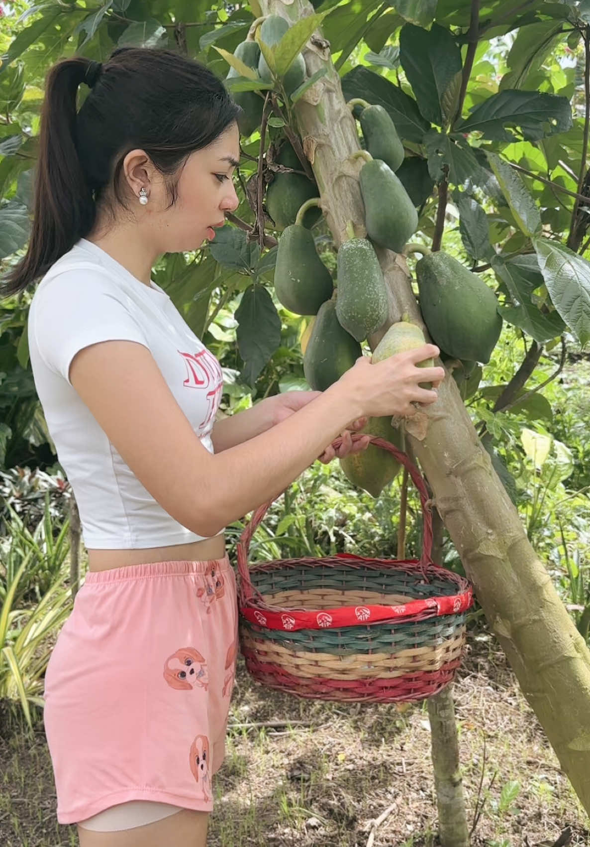 Napaka tamis ng papaya na nakuha namin☺️#tiktok #queenay #batangueña #peryana #kainaman #kalume #teamkainaman #fyp #reynabatangueña #Maligalig #QueenayInay #probinsyanagirl 