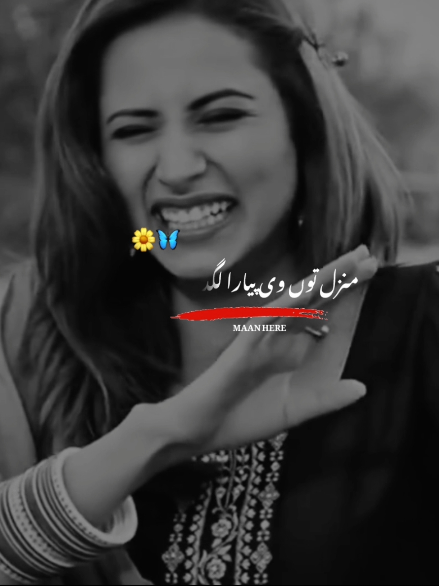 🌸🥺#punjabitiktok #songs  #songlyrics #foryoupage #v #viralvideo #100kviews #v #100kfollowers #songlyrics 