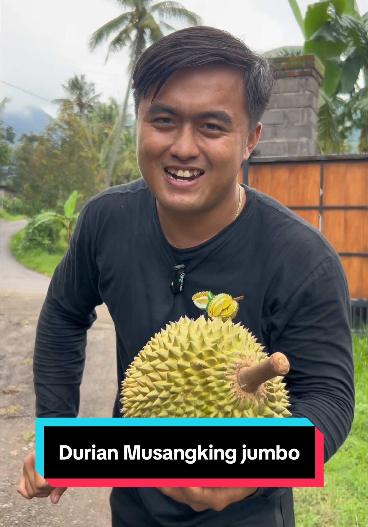 Durian Musangking jumbo #Doniartawan #durian #bali 