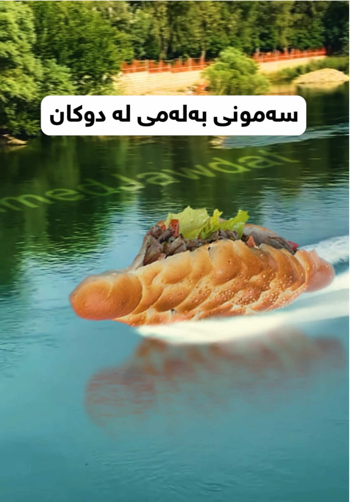 گەسی بەرخ بە سەمونی بەلەمی لە دوکان #گەسی_بەرخ😂 #سەمونیبەلەمی 