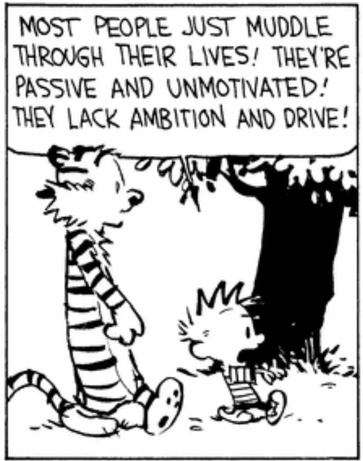 Most people just muddle through their lives… #calvinandhobbes 