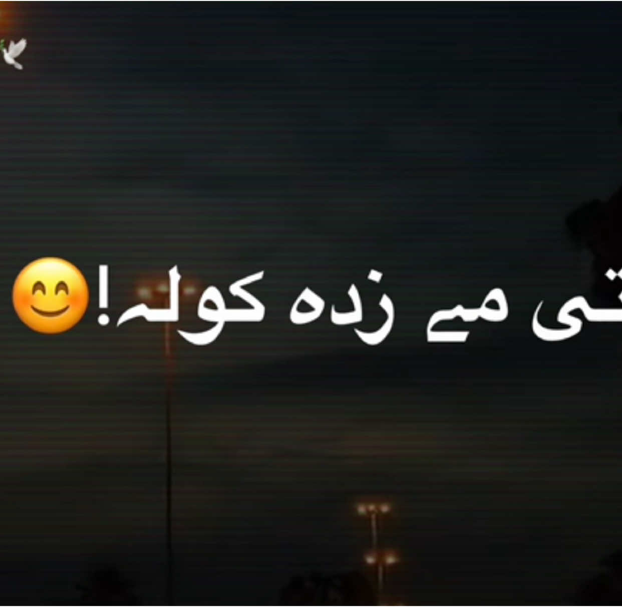 Tanhai me zda koLa🥺❤️‍🩹#maalang_804 #foryou #foryoupage #fypviralシviral #1millionaudition #ghazal #poetry #grow @🔥ساقي جانAن🔥 @𝗧 𝗛 𝗢 𝗢 𝗥  @𝐁𝐑𝐎𝐊𝐄𝐍 𝐀𝐓𝐈𝐅 ᥫ᭡ @♡ U S M A N ♡ @