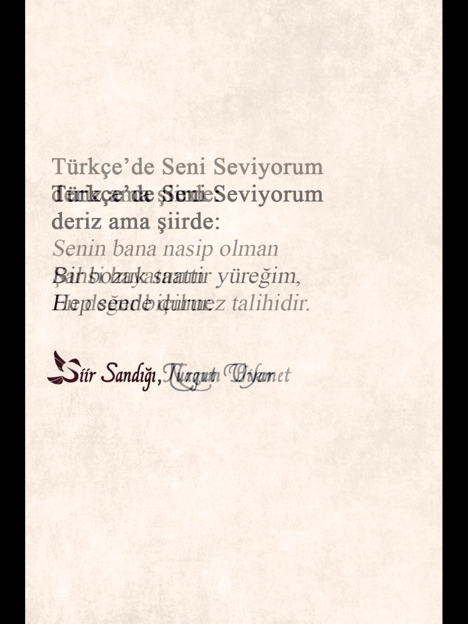 Türkçe 'de Seni Seviyorum deriz ama şiirde: #seniseviyorum #şiir #şiirsandığı