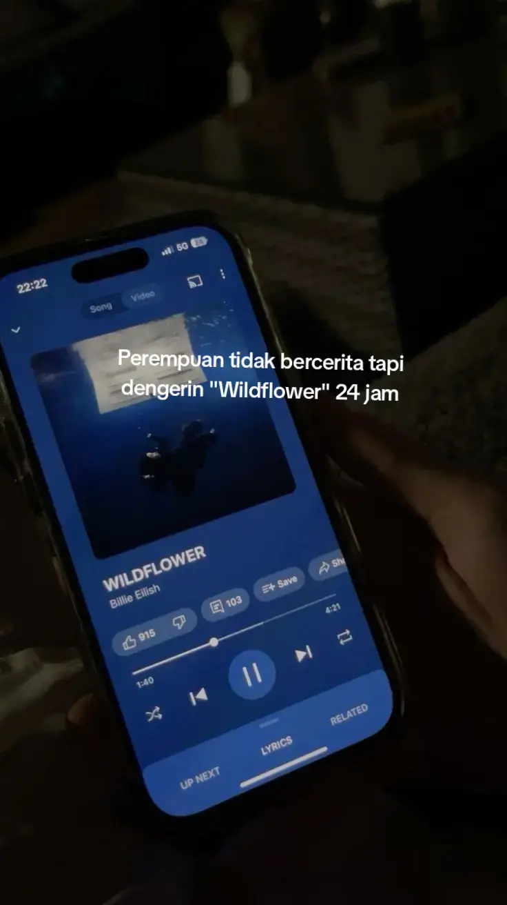 #wildflower #billieeilish #spotify #fyp 