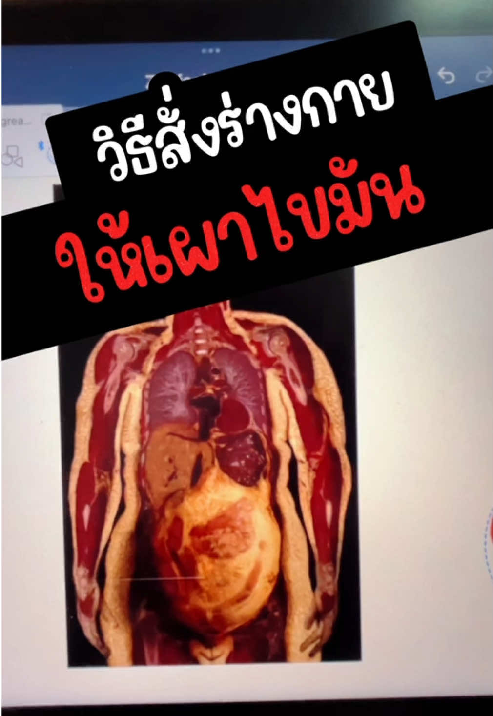 วิธีสั่งร่างกายให้เผาไขมัน#เผาผลาญไขมัน #ลดน้ําหนัก #ลดสัดส่วน #ลดพุง #feelgreat #feelgreatcss 