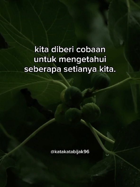 untuk mengetahui seberapa setianya kita . kata kata motivasi . motivasi hidup . motivasi kehidupan . kata kata bijak . kutipan bijak . puitis . musikalisasi puisi #katakatabijak96 #puitis #kutipan #ceritakanlah 