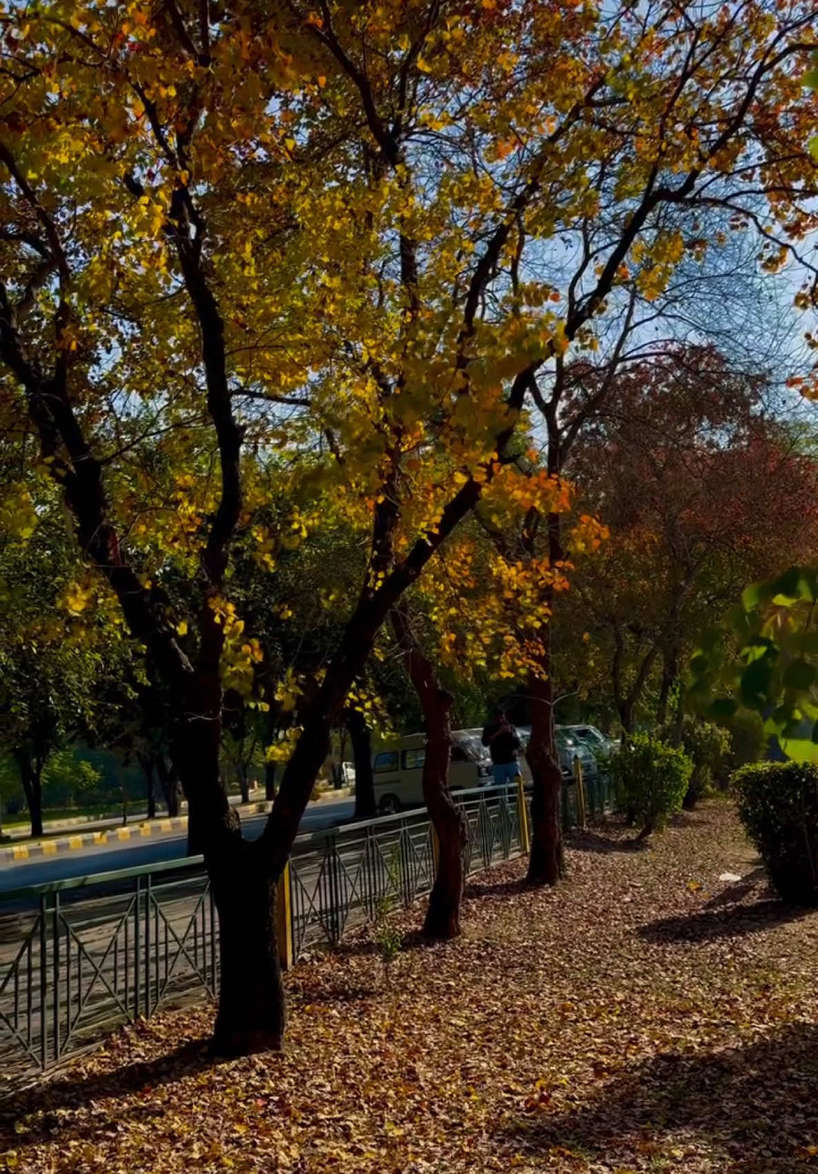 Sukoon 🍂 #islamabadinsider #islamabad #pakistan #viral #trendingreels #viralvideos #mountains #capital #margallahills #winters 