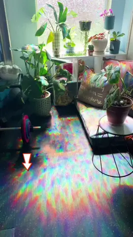 💥I regret not putting it up earlier! This rainbow glass sticker is amazing! 🌿A 10-square-meter small window turns into a dreamy wonderland in seconds🌈#homedecorideas #design #sticker#Windowstickers