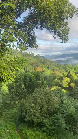 Life hurts, nature heals 🌿🌳 #fyp #foryoupage #nature #naturevibes #naturetrip #naturetherapy #bosobosoantipolo #rides #antipolo #tanayrizal #marilaque 