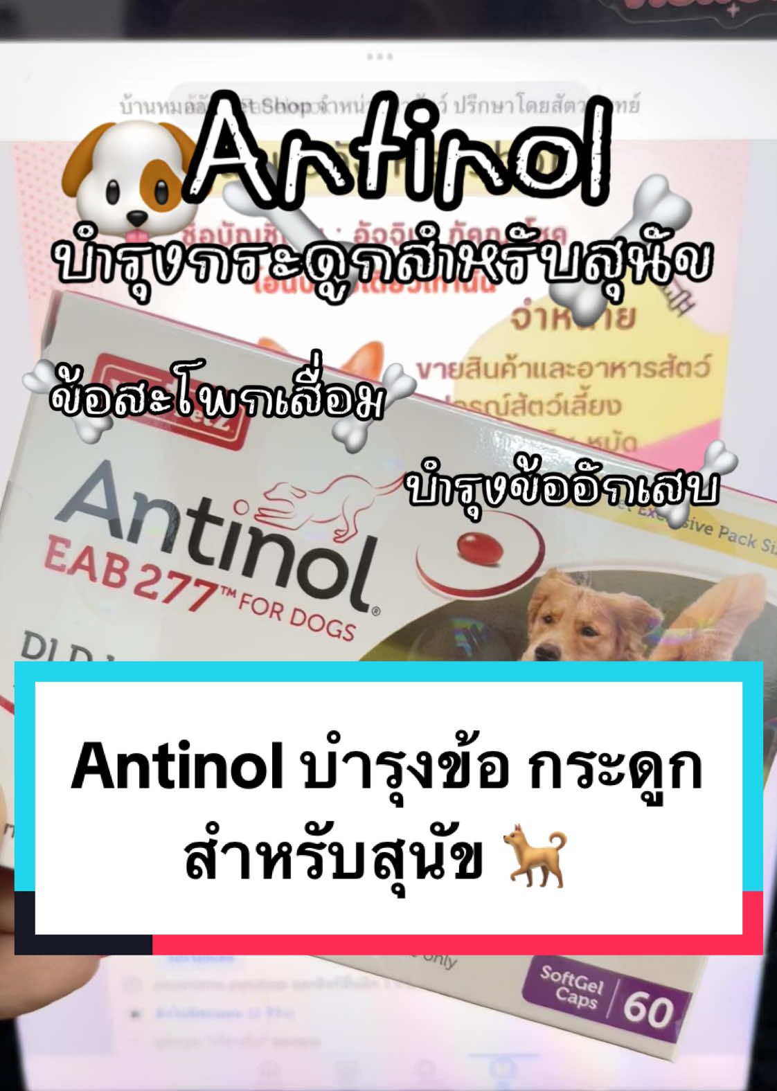 บำรุงข้อข้อต่อ กินได้ทุกสายพันธุ์ Antinol  ไม่สะสมในร่างกาย กินได้ทุกวันตามน้ำหนักตัว #แอนทินอล #vetzpetz #vetzpetzantinol #บํารุงกระดูกและข้อ #อาหารเสริมบํารุงกระดูกและข้อ @บ้านหมออัง Petshop 