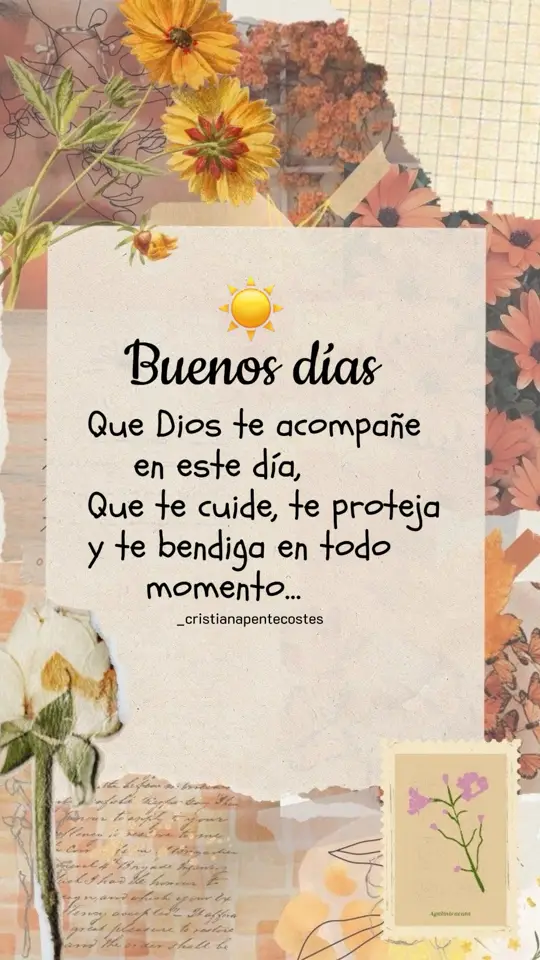 Agradeciendo nuevo dia  #frasesdeldia #reflexiones  #bendiciones🙏❤️ #buenosdias 