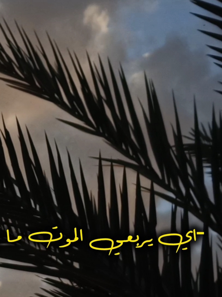 الموت ما يعرف صديق😔💔. #اي_يربعي_لموت_ما_يعرف_صديق  #ذكروني_وي_كلمت_حسين #قشعريرة #لطميه #لطميات #الموت 