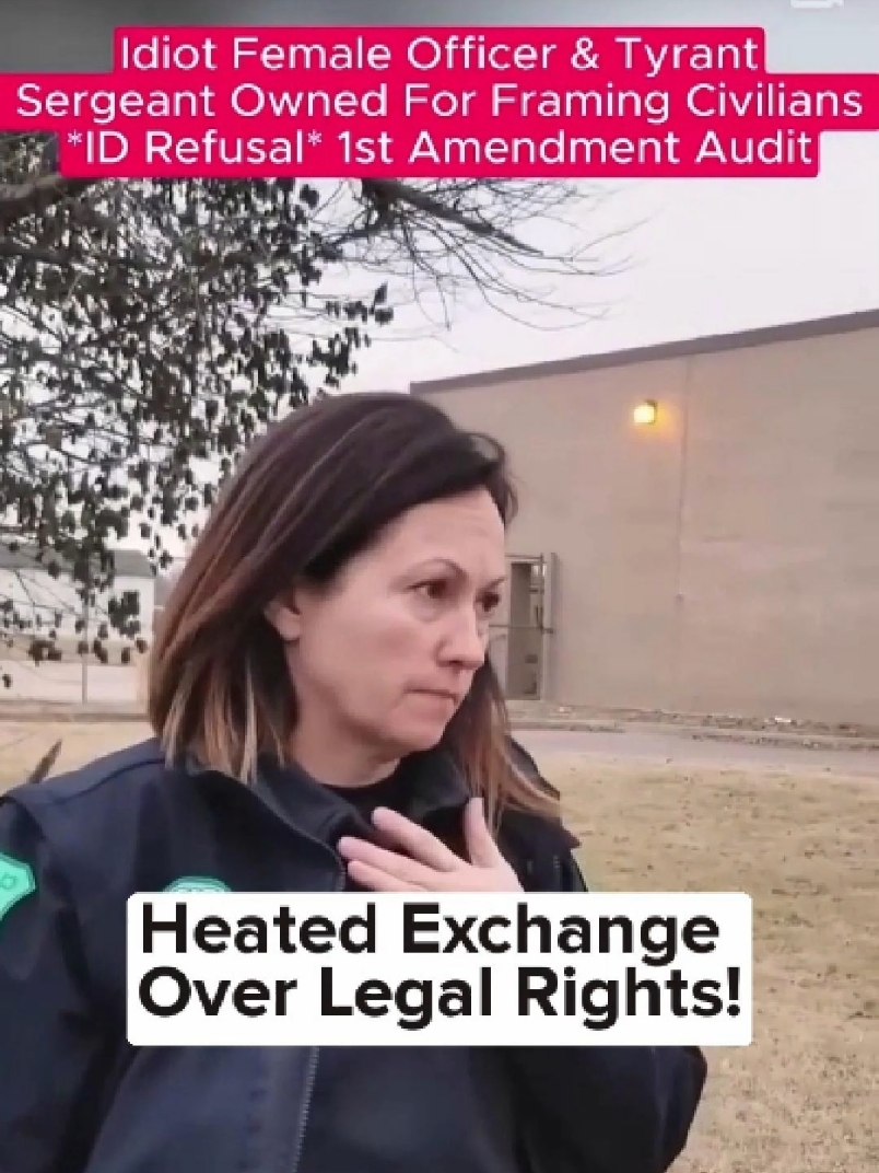 #Audit #cops #copsoftiktok #police #fyp 