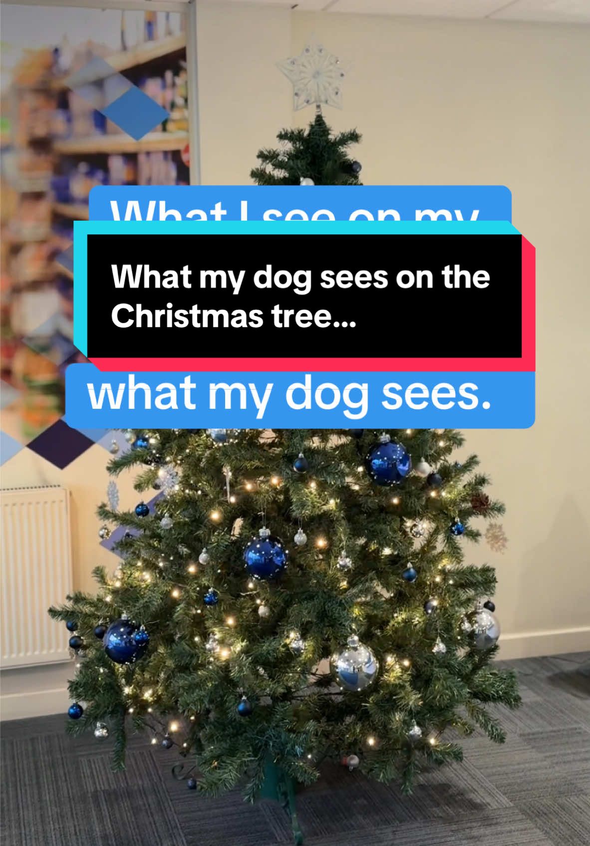 A tree full of treats for your dog! Does anyone’s dog see baubles as treats?  DM us for more details!  #christmastom #christmastree #meettheteam #salesexperts #B2B #Clearancedeals #excessstock #pettreats 