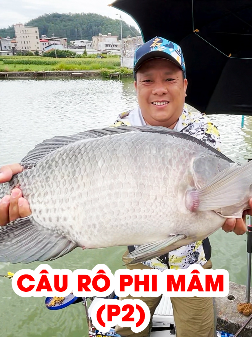 Câu RÔ PHI KHỦNG#sapham #fishing #giaitri #câucá #xuhuong